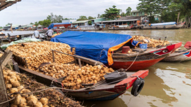 Coconut Market on the Thom River in Ben Tre