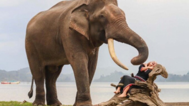 Central Highlands boy doing elephant-friendly tourism