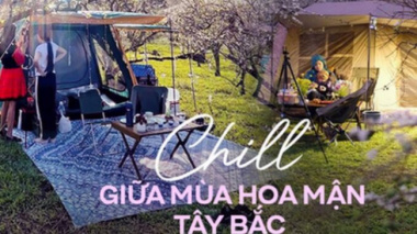 Let’s go camping in the middle of a blooming plum garden in Moc Chau