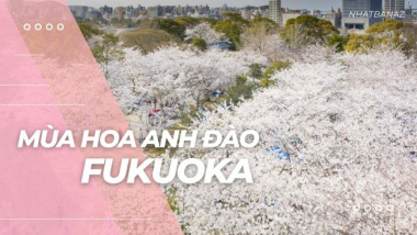 Hướng dẫn lịch trình tour du lịch Fukuoka Nhật Bản 5N4D từ 30 triệu