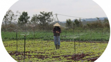 Farmers pay off debts, and build houses by growing clean vegetables