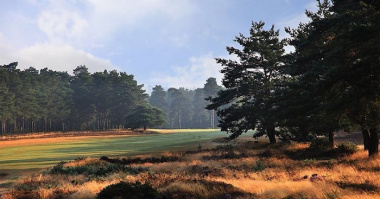 West Sussex Golf Club - Điểm đến lý tưởng dành cho các golfer tại xứ sở sương mù