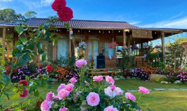A beautiful 40m wooden house like a fairy among flowers and clouds in Lam Dong