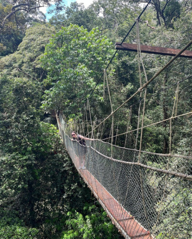 Thám hiểm vườn quốc gia Taman Negara lâu đời nhất Malaysia