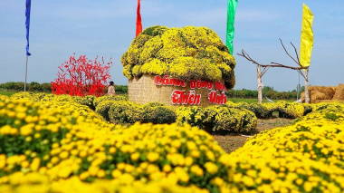 Cánh đồng hoa Thiên Anh – Tọa độ check-in cực HOT ở An Giang