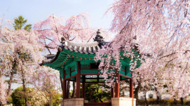 Không thể bỏ qua 4 địa điểm tận hưởng mùa yêu tại Hàn Quốc
