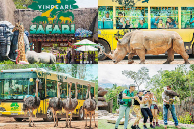 [ Review & Cập Nhật ] Giá Vé Vinpearl Safari Phú Quốc – Vườn Thú Bán Hoang Dã Lớn Nhất Việt Nam
