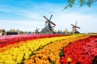 Cập nhật thủ tục và hồ sơ làm visa Hà Lan mới nhất 2023