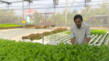 The director of U50 quit his job, and started a vegetable-growing business, making 100 million/per month