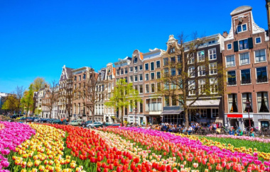 Mãn nhãn với lễ hội hoa Tulip lại xứ sở cổ tích Hà Lan