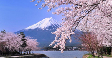 Kinh nghiệm đi tour du lịch Nhật Bản tháng 3 chi tiết 2023