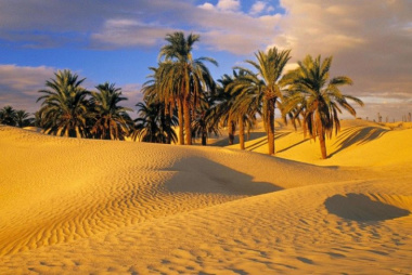 Khám phá sa mạc Sahara