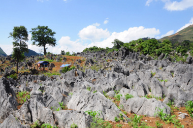 Khám phá vẻ đẹp độc đáo của cao nguyên đá Tủa Chùa ở Điện Biên