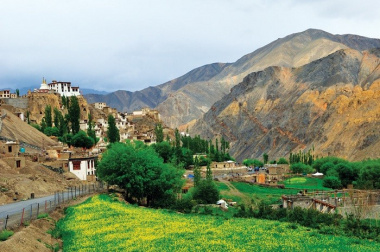 Du lịch Ladakh mùa xuân để tận hưởng sự yên bình hiếm có