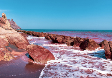 Biển Đỏ - Bờ biển độc lạ nhất hành tinh của Ai Cập