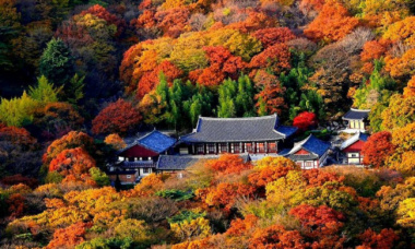 Kinh nghiệm du lịch Busan tự túc và Top 5 điểm đến hấp dẫn nhất