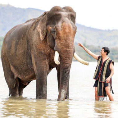 Đắk Lắk: Truyền thông điệp ý nghĩa “Tôi cười cùng voi, tôi ngừng cưỡi voi”