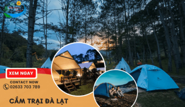 Top 10 địa điểm cắm trại Đà Lạt view đẹp khiến giới trẻ mê mệt