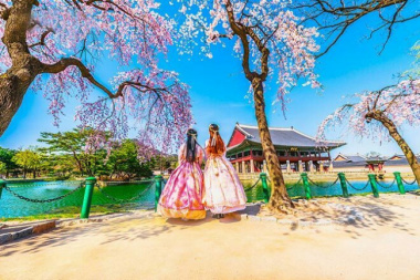 Kinh nghiệm du lịch Hàn Quốc mùa xuân mới nhất [2023]
