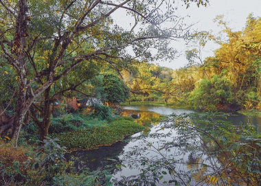 Hồ Ông Nhớ - ‘Tuyệt tình cốc’ ở Bình Phước cảnh đẹp như tranh vẽ