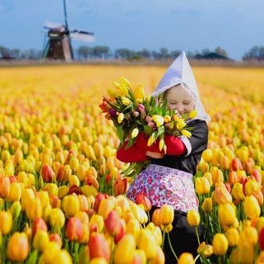 Dạo một vòng quanh những vườn hoa tulip trên thế giới rộng lớn và xinh đẹp