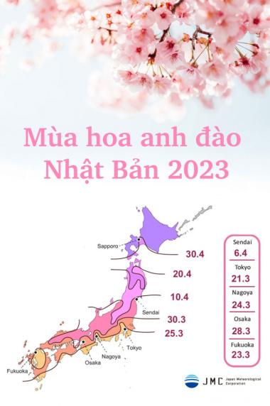 Lịch hoa anh đào nở ở Nhật Bản 2023