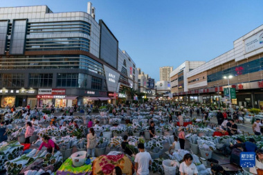 Chợ hoa Đấu Nam ( Trung Quốc) – Chợ hoa lớn nhất Châu Á có gì đặc sắc?