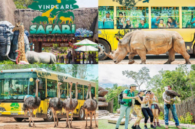 Tham quan vườn thú Safari Phú Quốc - Trải nghiệm khó quên cho giới trẻ