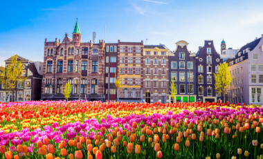 Du lịch Hà Lan mùa hoa Tulip đẹp nhất trong năm