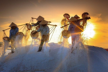 Ngao du khắp những cánh đồng muối nổi tiếng Việt Nam