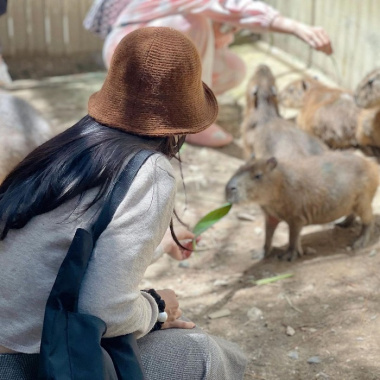 Đến những nông trại thú cưng ở Việt Nam để một lần được ‘trở về tuổi thơ’ 