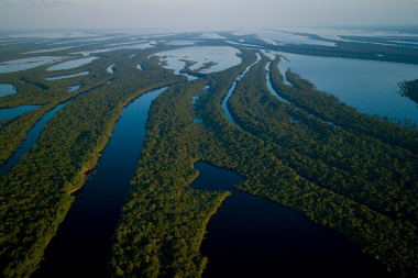 Trải nghiệm du lịch sinh thái ở Amazon tại vườn quốc gia Anavilhanas Brazil