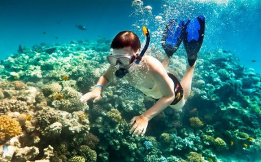 Bỏ túi ngay kinh nghiệm lặn ngắm san hô Phú Quốc