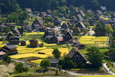 Kinh nghiệm khám phá làng Shirakawago Nhật Bản từ A đến Z