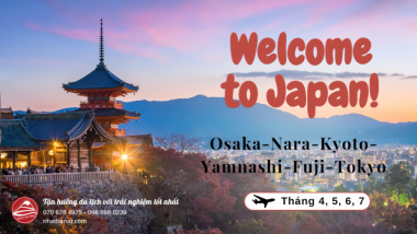 Vi vu du lịch Nhật Bản: Osaka – Nara – Kyoto – Yamanashi – Fuji – Tokyo