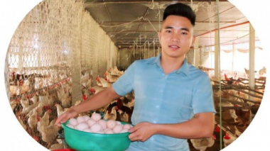 From empty hand to farm owner of 3,000 laying hens