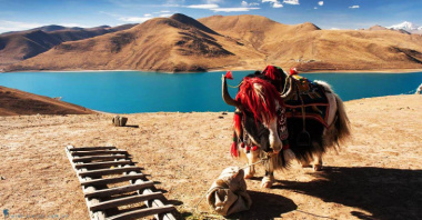 Khám phá Hồ Yamdrok - Hồ linh thiêng và huyền bí bậc nhất tại Tây Tạng
