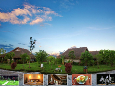 Resort Cúc Phương – Địa Điểm Thư Giãn, Giải Nhiệt Lý Tưởng Cho Mùa Hè