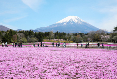 Điểm danh top 3 Tour du lịch núi Phú Sĩ hấp dẫn nhất