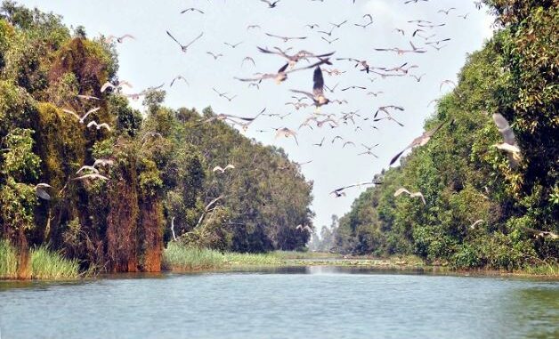 Discover the beautiful nature in Lang Sen Wetland Reserve