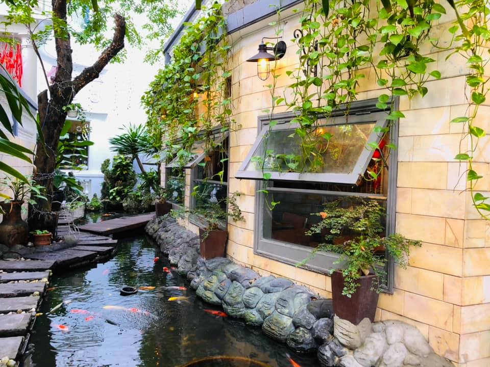 top 5 quán cà phê cá koi tại đà nẵng vừa sang chảnh lại vừa đẹp mắt
