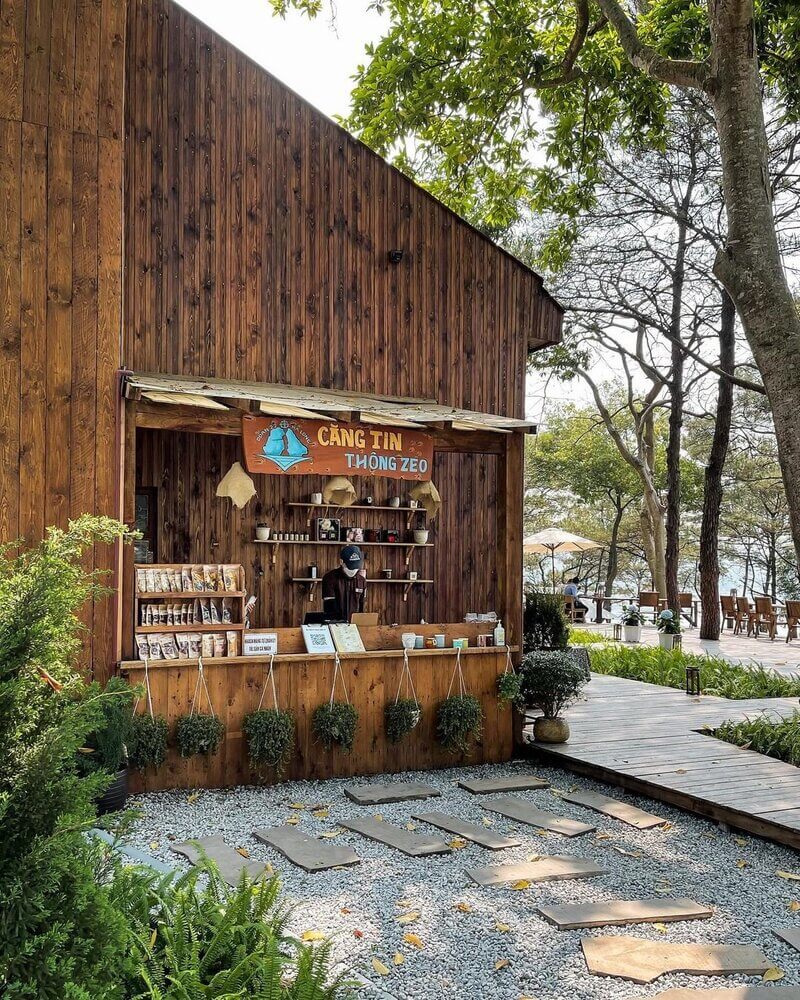 cafe thông zeo – quán cà phê nằm trên đồi thông ở hạ long
