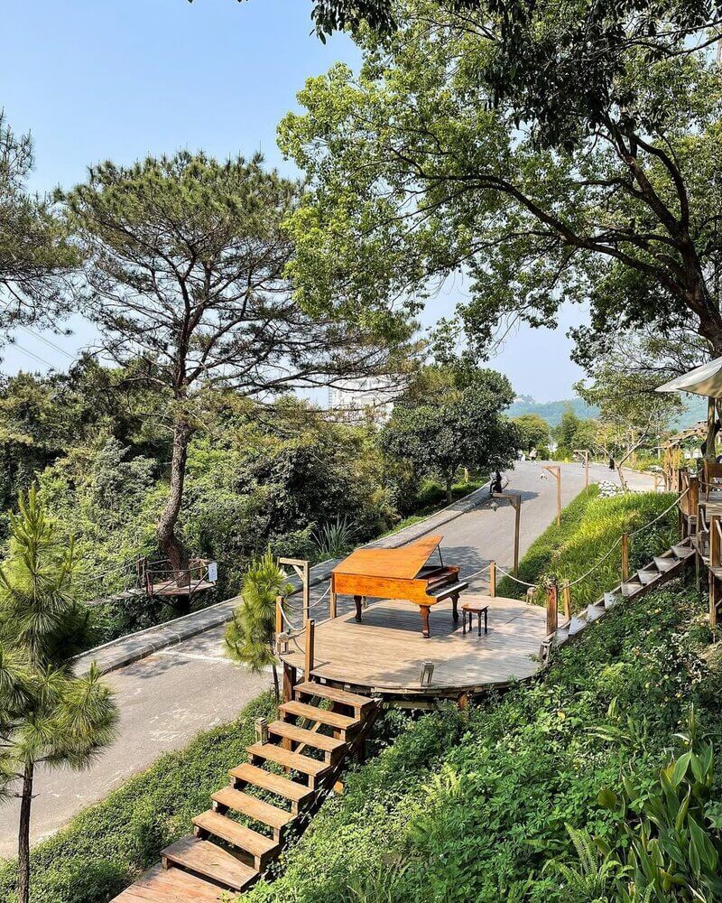 cafe thông zeo – quán cà phê nằm trên đồi thông ở hạ long