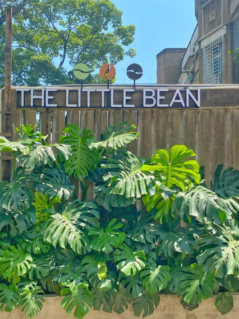 The Little Bean Coffee – Tránh nóng trong khu vườn đầy sắc xanh
