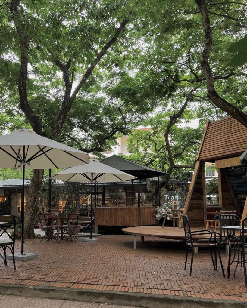 treeland coffee – thiên đường xanh tươi mát giữa lòng thủ đô!