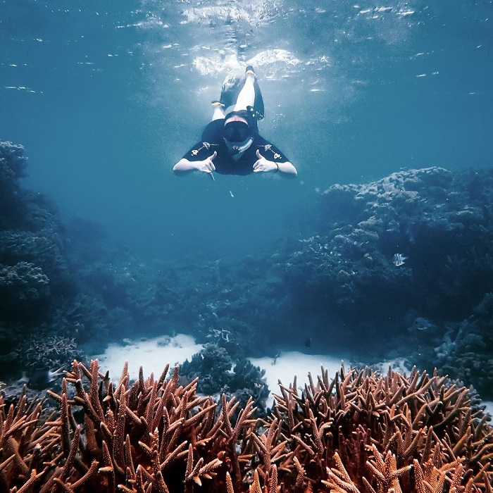 Những điểm ngắm san hô trên thế giới đẹp ngỡ ngàng khiến du khách mê đắm