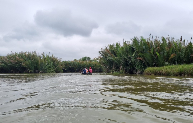 Du ngoạn rừng dừa nước Cà Ninh – điểm du lịch sinh thái hấp dẫn ở Quảng Ngãi