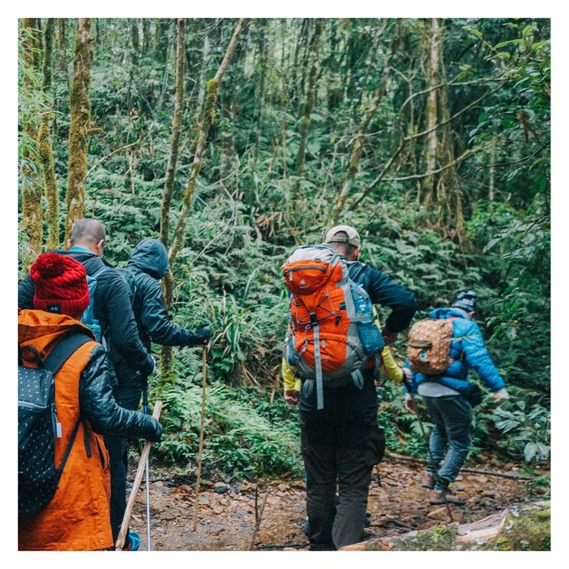 top 7 cung đường trekking lý tưởng ở việt nam, đáng để trải nghiệm