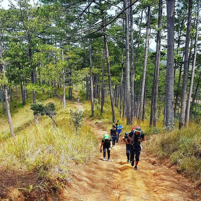 top 7 cung đường trekking lý tưởng ở việt nam, đáng để trải nghiệm