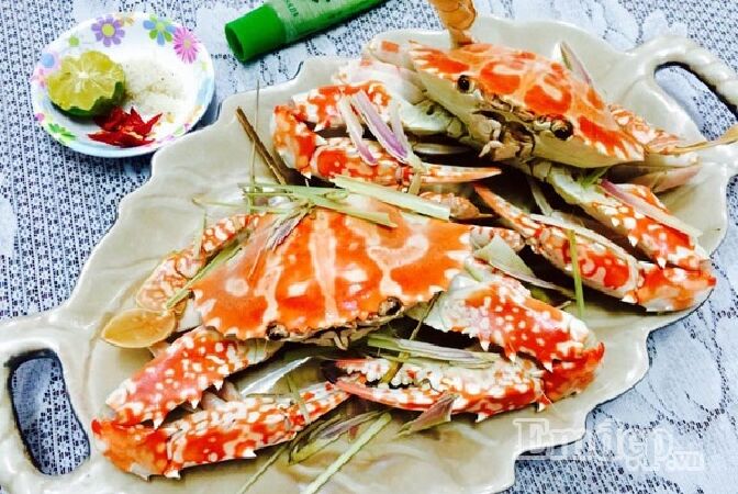 coto abalone, coto sea cucumber, coto sea cucumber, coto sea urchin, sea urchin, coto sun squid, coto jellyfish, coto nail snail, coto mantis shrimp, surface, coto Co To, Co To Crab, Co To Island District, Co To Quang Ninh, Co To Seafood, Unsa ang Kaonon sa Co To, Co To Tour, Co To Travel Experience, Co To Dining Experience , Co To homestay, top 10 nga lamian nga seafood dishes nga kinahanglan nimong sulayan pag-abot sa Co To island district